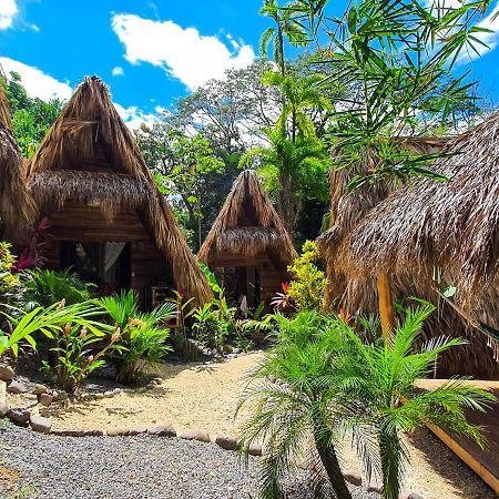 Buena Onda Bungalows Playa Santa Teresa  Eksteriør billede